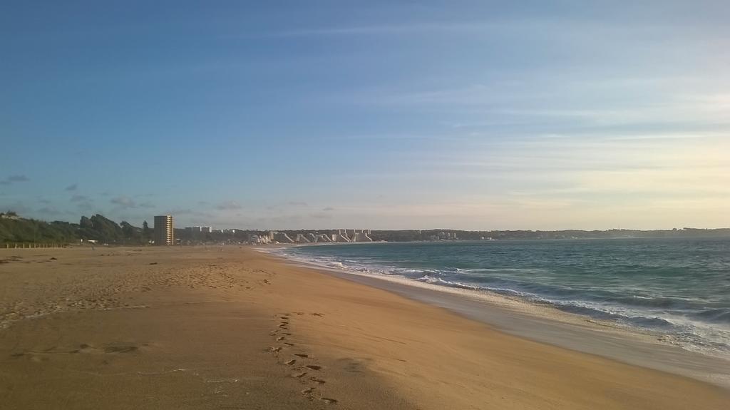 Arenamaris *